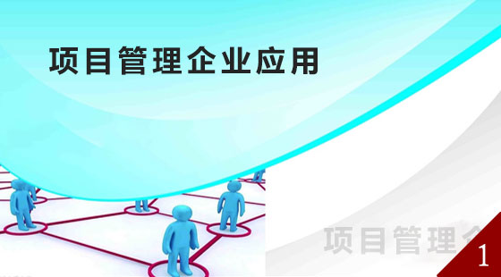 项目管理企业应用